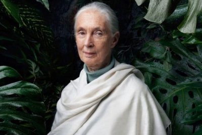 A Documentary On Jane Goodall Is All Set To Release On Earth Day To Instill Hope Among Us
